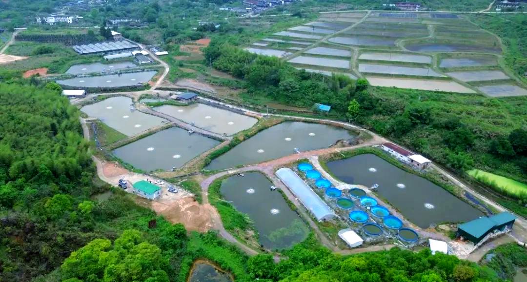 福陂种植合作社